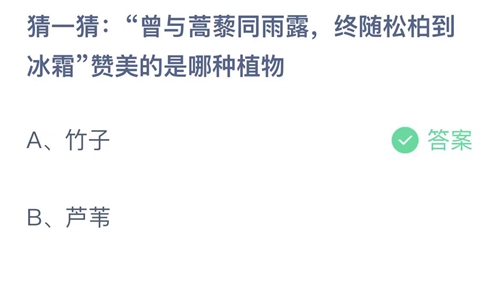 《支付宝》蚂蚁庄园答案汇总更新2024
