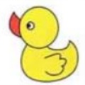 小黄鸭官方版下载安装手机软件