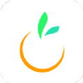 橙宝网app手机版下载手机软件