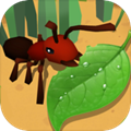 蚂蚁进化3d手游app
