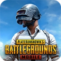 pubg国际服手游下载手游app