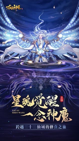 神王帝天安卓版