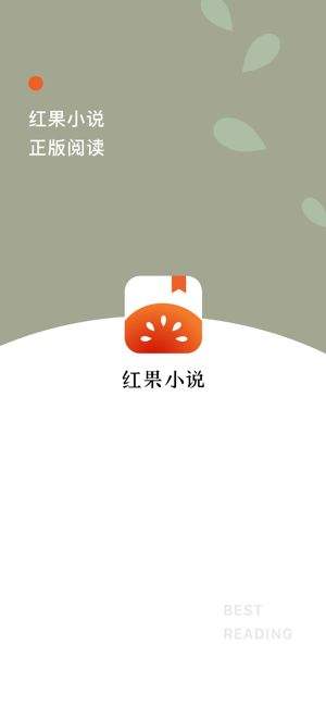 番茄小说截图