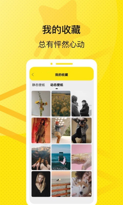 星星壁纸app最新版截图