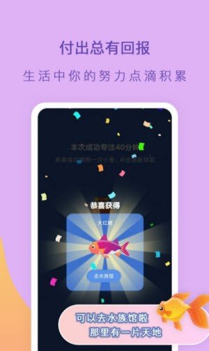 小鱼专注截图