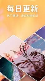 灵猫壁纸2022最新下载截图
