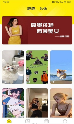 四季视频壁纸2022最新下载截图