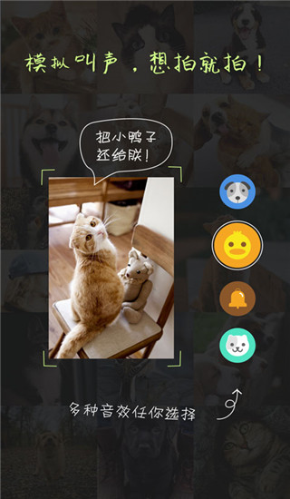 萌宠相机截图
