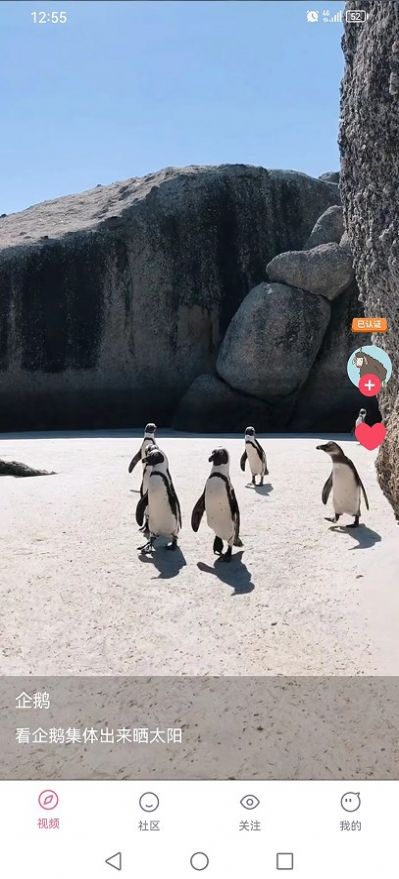 嘟嘟短视频截图