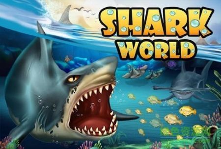 鲨鱼世界