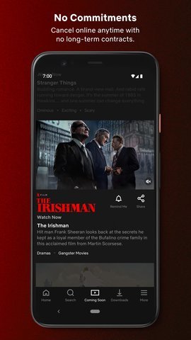 Netflix截图