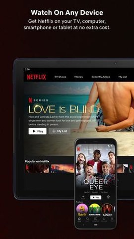 Netflix截图