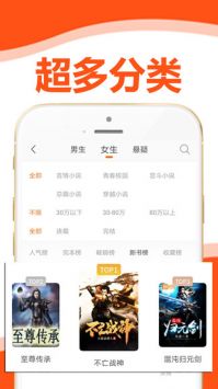 懒猫小说截图