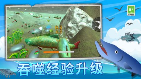 鲨鱼进化记截图