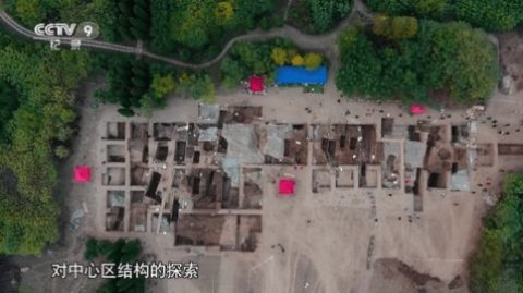 鲨鱼电视tv版截图