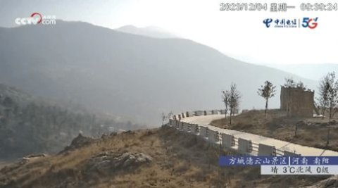 鲨鱼电视tv版截图