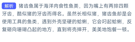 《支付宝》2023年10月16日神奇海洋科普答案